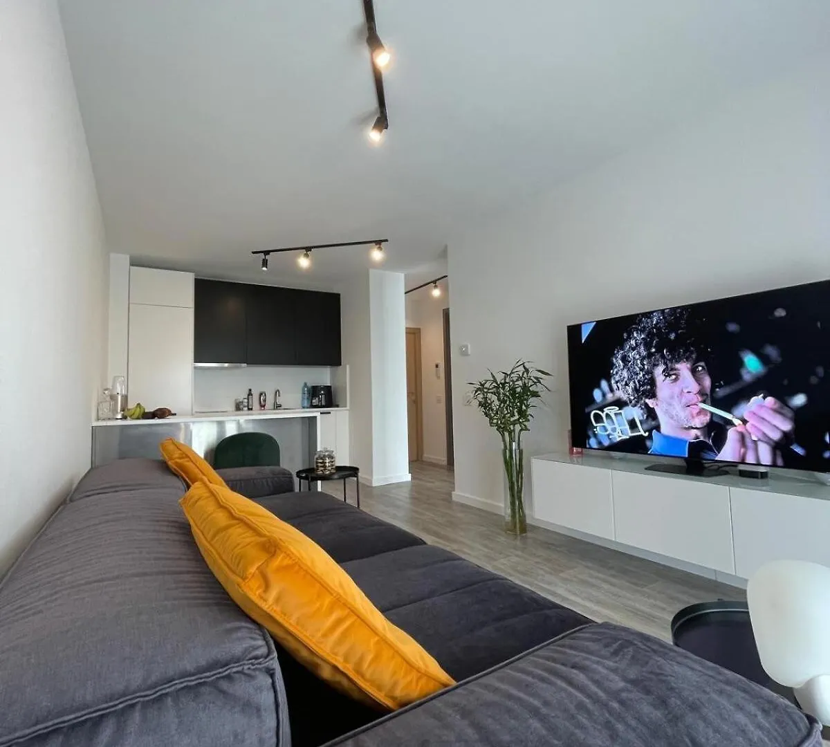 Parcului20 Apart Near Romexpo, Herastrau Park 부쿠레슈티
